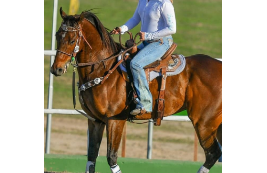 BRUCE 3 6 HORIZONTE